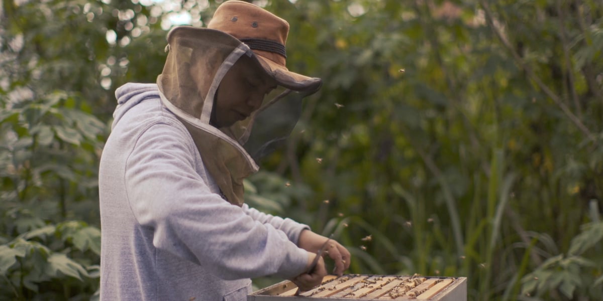 Support Local Bee Farmer